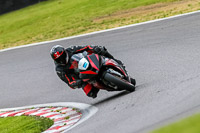 PJ-Motorsport-Photography-2020;anglesey;brands-hatch;cadwell-park;croft;donington-park;enduro-digital-images;event-digital-images;eventdigitalimages;mallory;no-limits;oulton-park;peter-wileman-photography;racing-digital-images;silverstone;snetterton;trackday-digital-images;trackday-photos;vmcc-banbury-run;welsh-2-day-enduro